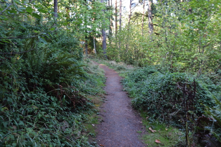 Boomer Trail may narrow because of encroaching foliage